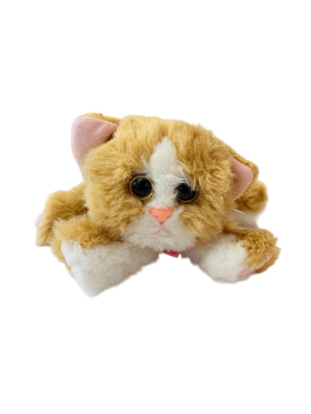 Kitty Kitty Kitten Plush Cat Toy